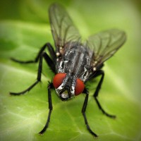 /album/sokon-sukusivut/photolia-a01-jpg/