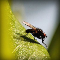 /album/sokon-sukusivut/photolia-a04-jpg/