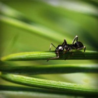 /album/sokon-sukusivut/photolia-a05-jpg/