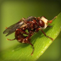 /album/sokon-sukusivut/photolia-a06-jpg/