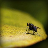 /album/sokon-sukusivut/photolia-a07-jpg/